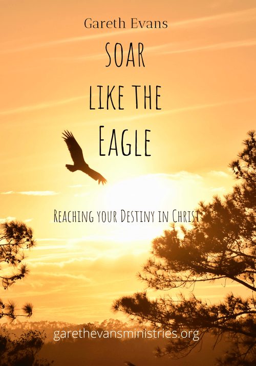 Cover of Soar Like The Eagle