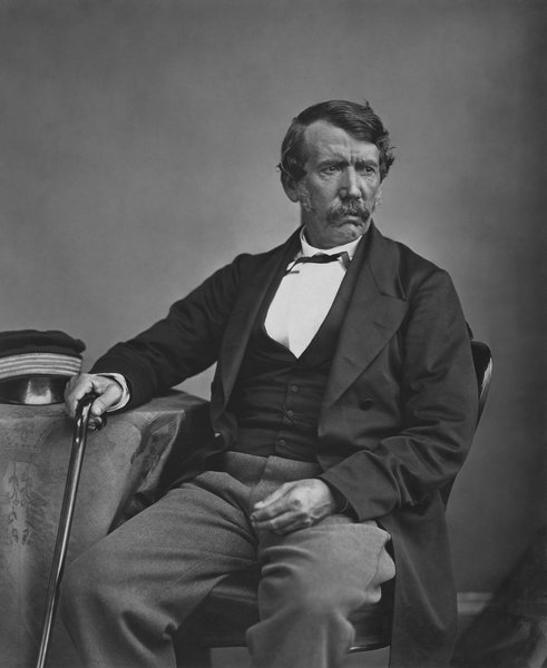 Portrait of David Livingstone